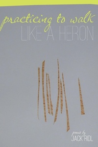 Enlarge image Cover: Practicing to Walk Like a Heron - Wayne State University Press
