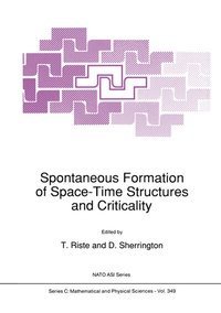Abbildung von: Spontaneous Formation of Space-Time Structures and Criticality - Kluwer Academic Publishers