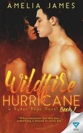 Cover: Wildfire Hurricane - Limitless Publishing, LLC
