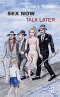 Cover: Sex Now, Talk Later - Karnac Books