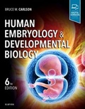 Bild: Human Embryology and Developmental Biology - Elsevier