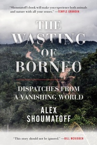 Enlarge image Cover: The Wasting of Borneo - Beacon Press