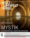 Cover: Welt und Umwelt der Bibel / Mystik - Katholisches Bibelwerk e.V.