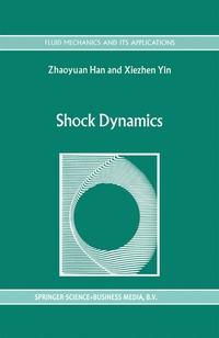 Abbildung von: Shock Dynamics - Springer