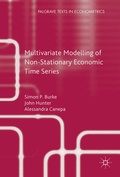 Cover: Multivariate Modelling of Non-Stationary Economic Time Series - Palgrave Macmillan
