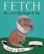 Cover: Fetch - Mariner Books