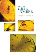 Cover: Life in Amber - Stanford University Press
