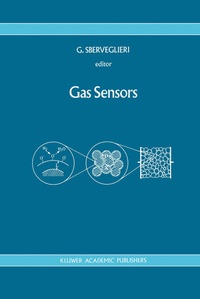 Abbildung von: Gas Sensors - Springer