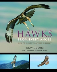 Abbildung von: Hawks from Every Angle - Princeton University Press
