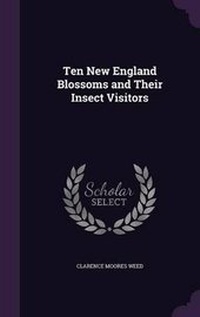 Enlarge image Cover: Ten New England Blossoms and Their Insect Visitors - Palala Press