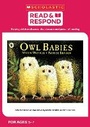 Cover: Owl Babies - Scholastic