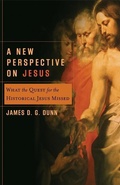 Abbildung von: A New Perspective on Jesus - Baker Academic, Div of Baker Publishing Group