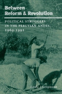 Enlarge image Cover: Between Reform and Revolution - Stanford University Press
