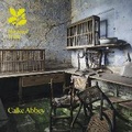Cover: Calke Abbey - National Trust