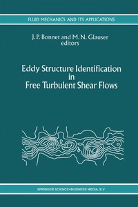Enlarge image Cover: Eddy Structure Identification in Free Turbulent Shear Flows - Springer