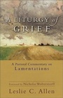 Cover: A Liturgy of Grief - A Pastoral Commentary on Lamentations - Baker Academic, Div of Baker Publishing Group
