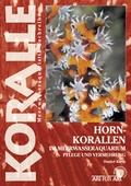 Cover: Hornkorallen im Meerwasseraquarium - Natur und Tier