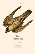 Cover: The Peregrine: 50th Anniversary Edition - William Collins
