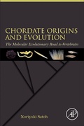 Cover: Chordate Origins and Evolution - Academic Press