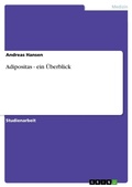Cover: Adipositas - ein UEberblick - Grin Verlag