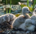 Cover: Wake Up! - Candlewick Press,U.S.