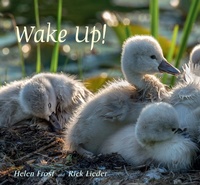 Enlarge image Cover: Wake Up! - Candlewick Press,U.S.