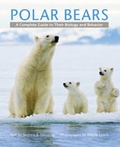 Cover: Polar Bears - Johns Hopkins University Press