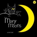 Cover: Many Moons - Walter Foster Jr.