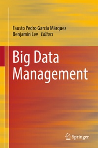 Abbildung von: Big Data Management - Springer