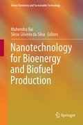 Cover: Nanotechnology for Bioenergy and Biofuel Production - Springer