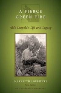 Bild vergrößern Bild: A Fierce Green Fire - OUP eBook
