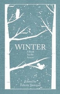 Abbildung von: Winter - Amberley Publishing
