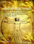 Cover: From Microbe to Man: Biological responses in microbes, animals and humans upon exposure to artificial static magnetic fields - Bentham Science Publishers