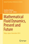 Cover: Mathematical Fluid Dynamics, Present and Future - Springer