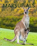 Cover: Marsupials - Aurora