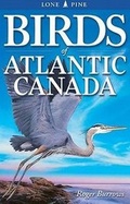 Cover: Birds of Atlantic Canada - Lone Pine Publishing,Canada