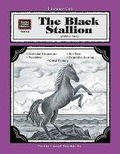 Cover: A Guide for Using the Black Stallion in the Classroom - TEACHER CREATED RESOURCES