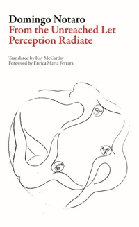 Enlarge image Cover: From the Unreached Let Perception Radiate - Dalkey Archive Press