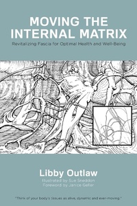 Abbildung von: Moving the Internal Matrix - Mill City Press, Inc.