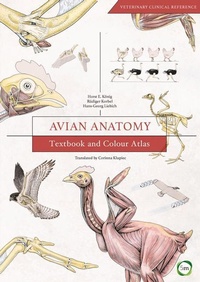 Abbildung von: Avian Anatomy 2nd Edition - 5M Books Ltd