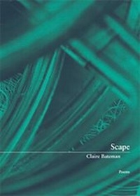 Enlarge image Cover: Scape - Western Michigan University, New Issues Press