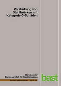 Abbildung von: Verstärkung von Stahlbrücken mit Kategorie-3-Schäden - Fachverlag NW in Carl Ed. Schünemann KG
