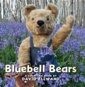Cover: Bluebell Bears - Candlewick Press,U.S.