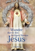 Cover: Wunder durch den heiligen Namen Jesus - DANIELIS