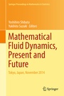 Cover: Mathematical Fluid Dynamics, Present and Future - Springer