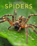 Cover: Spiders - Aurora