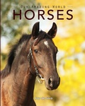 Cover: Horses - Aurora
