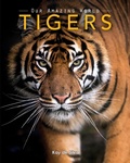 Cover: Tigers - Aurora
