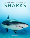 Cover: Sharks - Aurora