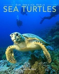 Cover: Sea Turtles - Aurora